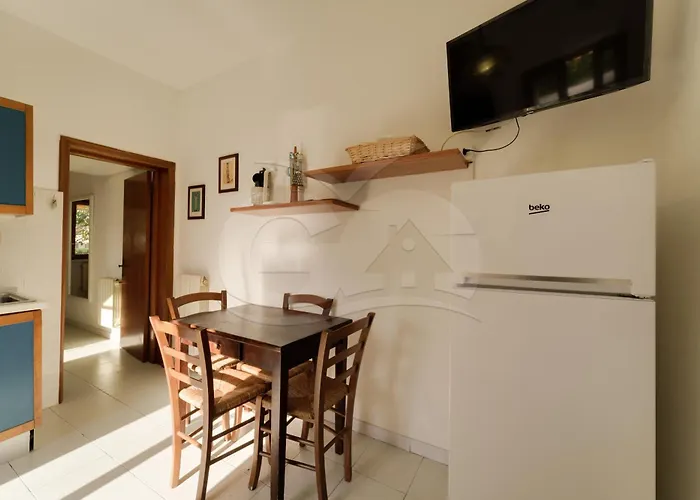 Aurora Celeste - Goelba *