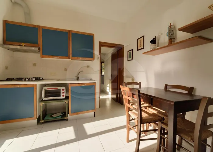 Aurora Celeste - Goelba *