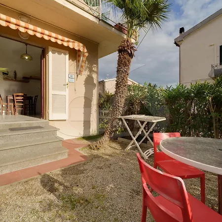 Aurora Celeste - Goelba *