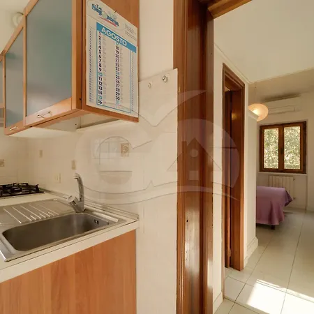 Aurora Celeste - Goelba *