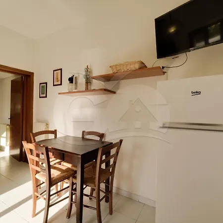 Aurora Celeste - Goelba *