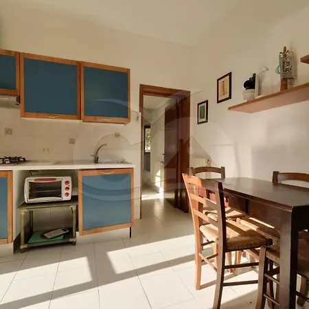 Aurora Celeste - Goelba *