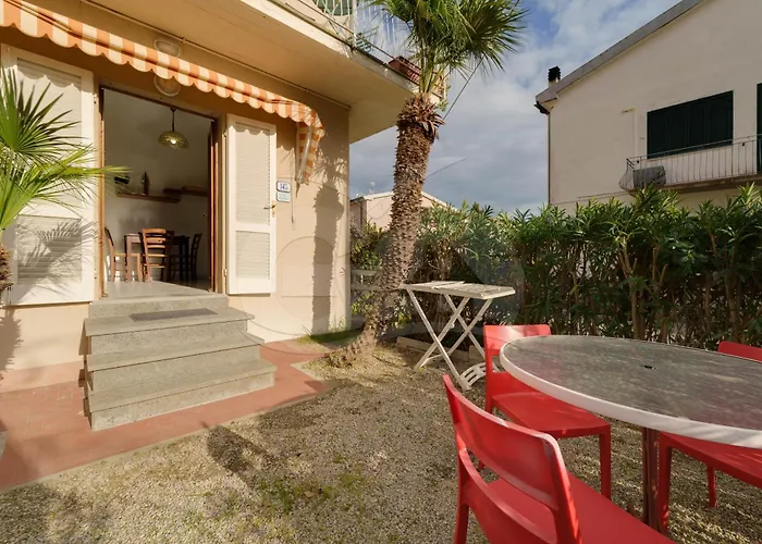 Aurora Celeste - Goelba *