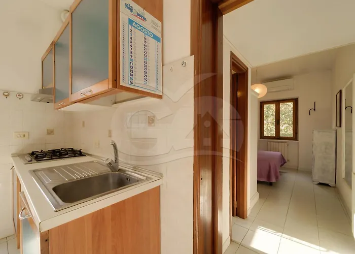 Aurora Celeste - Goelba *