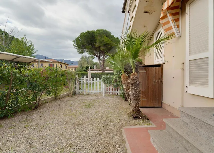 Aurora Celeste - Goelba *